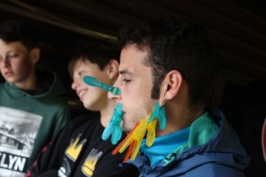 IMG 4781